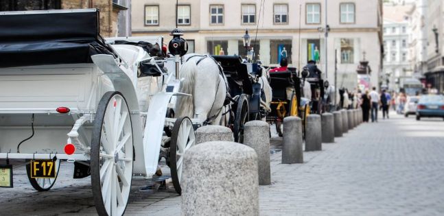 Виена от Варна