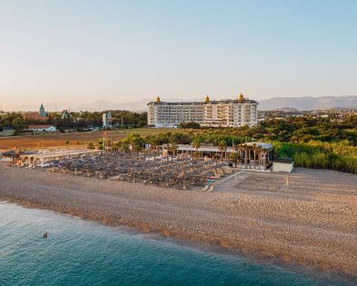 ASTERIA BLOOM SIDE (EX.HEAVEN BEACH)